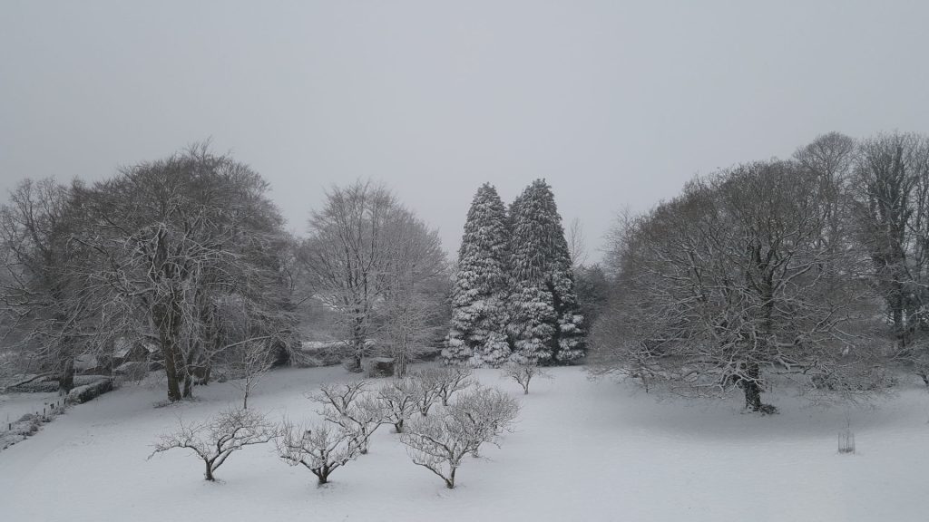 Grounds in Winter