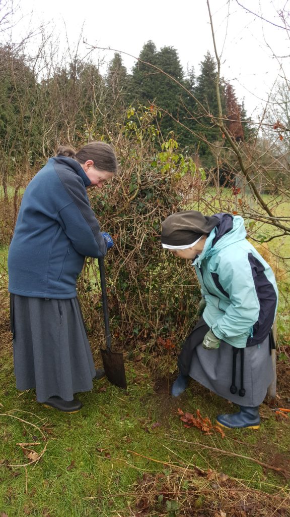 Janet and Rosalind planting