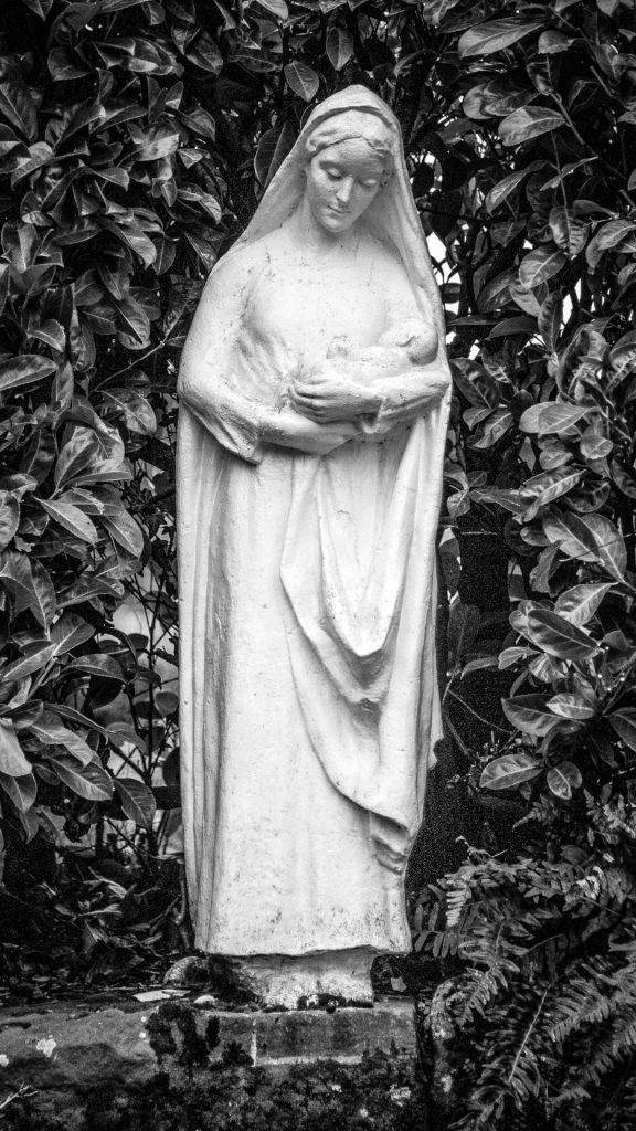Our Lady in the Community garden